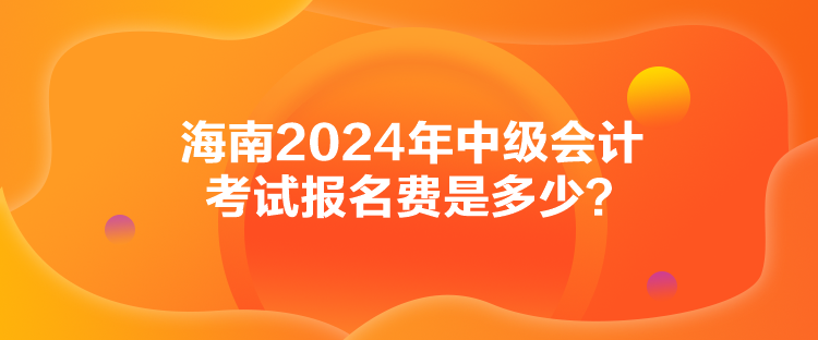 海南2024年中級會計(jì)考試報(bào)名費(fèi)是多少？