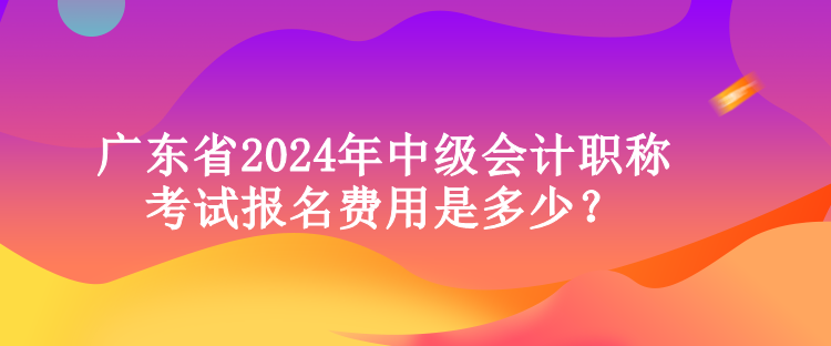 廣東省2024年中級會計職稱考試報名費用是多少？