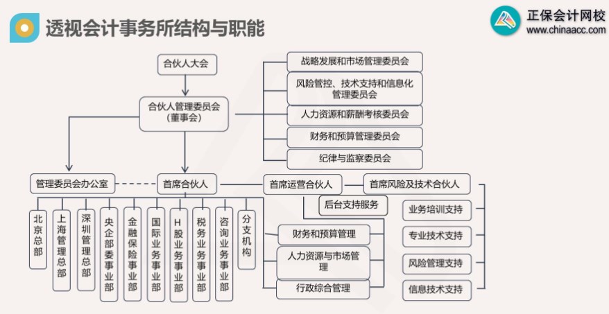 會計事務(wù)所結(jié)構(gòu)與職能示例