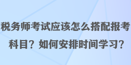 稅務(wù)師考試應(yīng)該怎么搭配報考科目？如何安排時間學(xué)習(xí)？