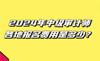 2024年中級審計師各地報名費用是多少？