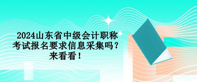 2024山東省中級會計職稱考試報名要求信息采集嗎？來看看！