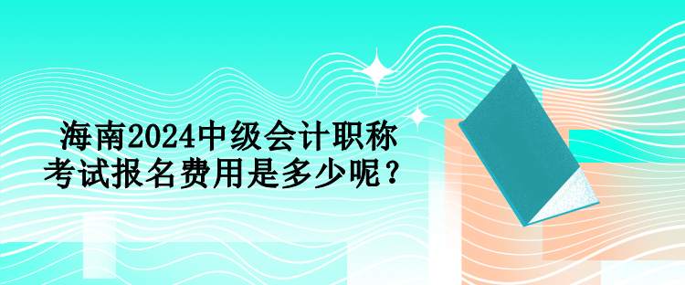 海南2024中級(jí)會(huì)計(jì)職稱(chēng)考試報(bào)名費(fèi)用是多少呢？