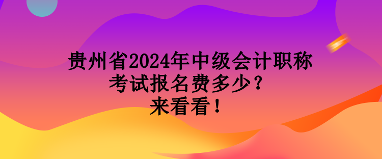 貴州省2024年中級會計職稱考試報名費多少？來看看！