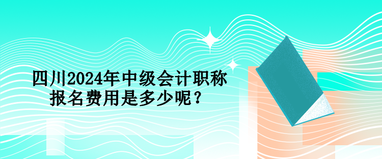 四川2024年中級會計職稱報名費用是多少呢？