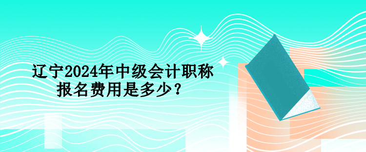 遼寧2024年中級會計職稱報名費用是多少？