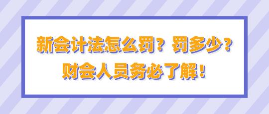 新會(huì)計(jì)法怎么罰？罰多少？財(cái)會(huì)人員務(wù)必了解！