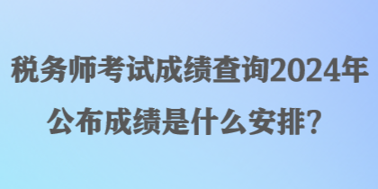 稅務(wù)師考試成績查詢2024年公布成績是什么安排？