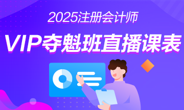 2025年注冊(cè)會(huì)計(jì)師VIP奪魁班直播課表安排