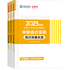 2025年中級(jí)會(huì)計(jì)職稱工具書(shū)